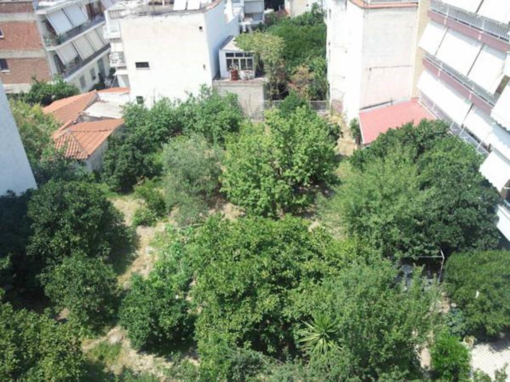 Foivos Hotell Loutra Aidhipsou Rum bild